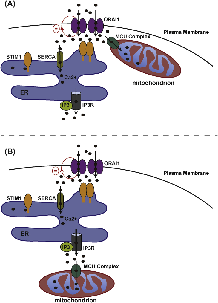 Fig. 3