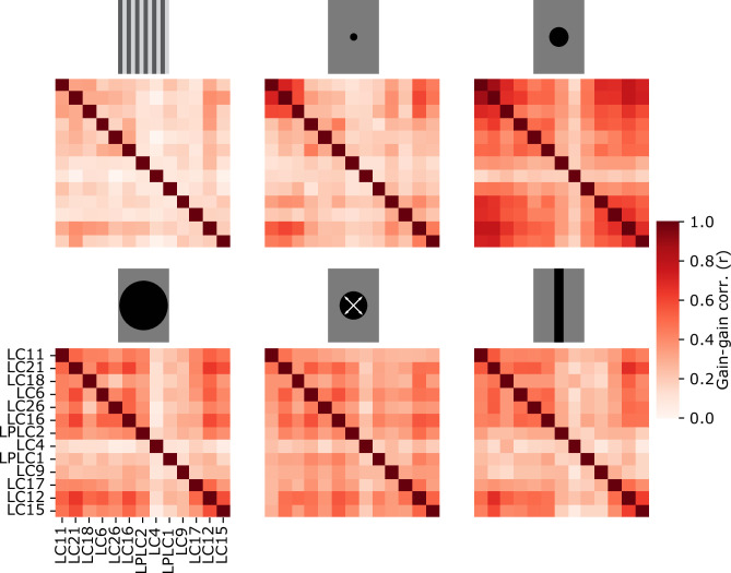 Figure 4—figure supplement 1.