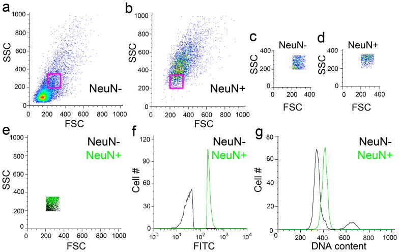 Figure 13