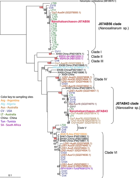 Figure 6