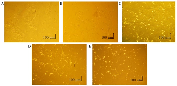 Figure 2.