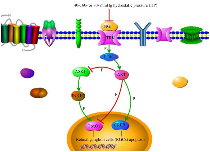 Figure 10.