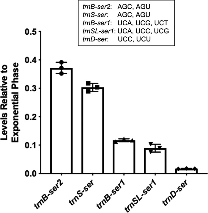 FIG 5