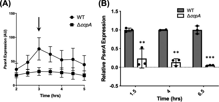 FIG 4