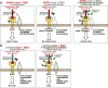 Extended Data Fig. 5