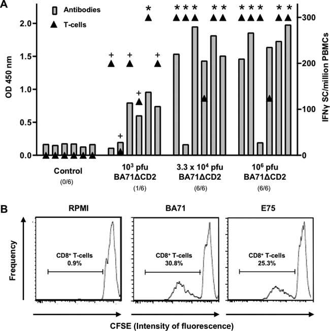 FIG 6