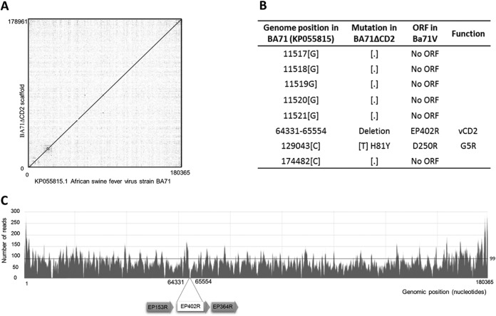 FIG 1