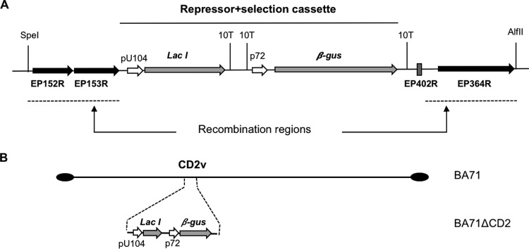 FIG 8