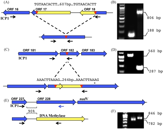 FIG 3 