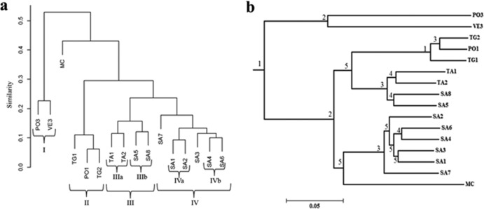 FIG 2