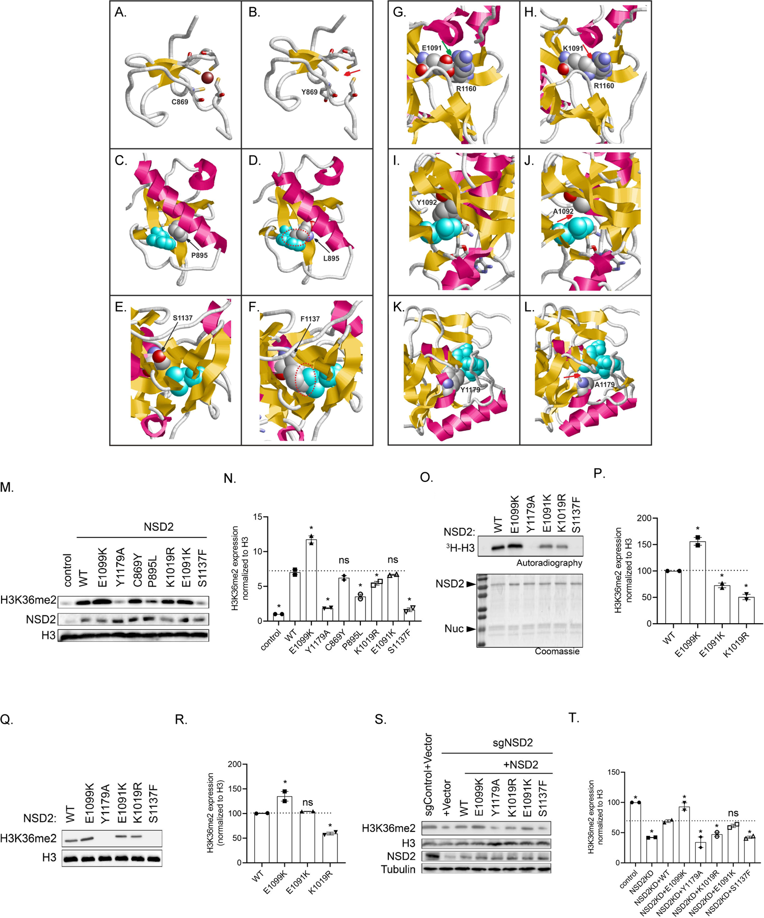 Figure 2: