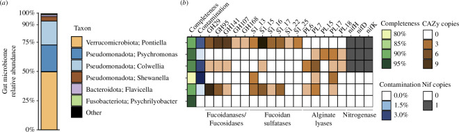 The gut microbiome of B. nybelini can degrade sulfated polysaccharides and fix nitrogen