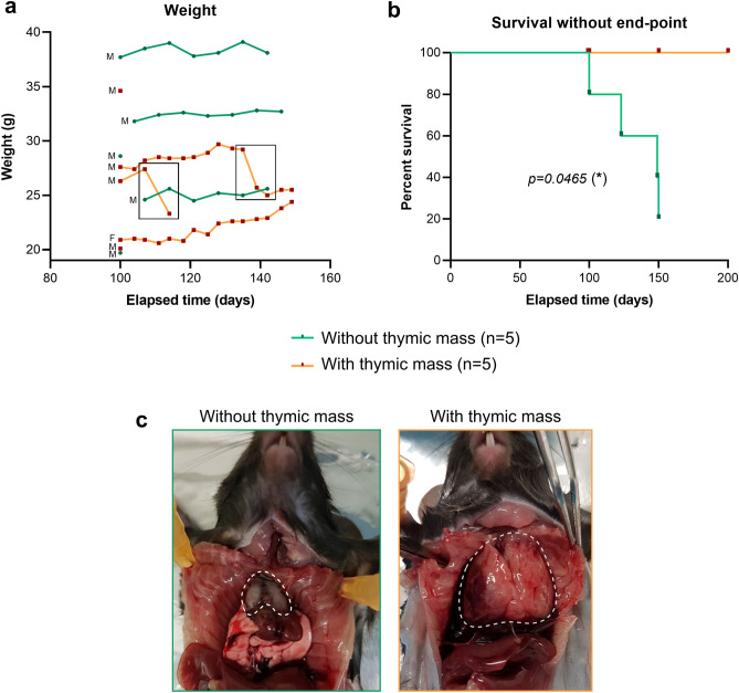 Figure 2: