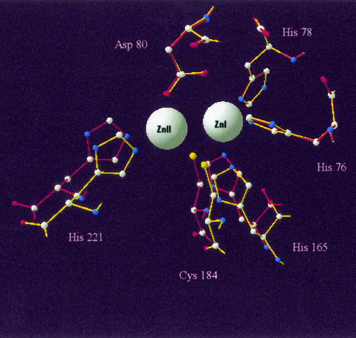 FIG. 3.