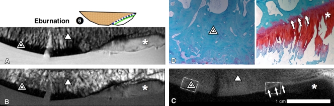 Figure 6: