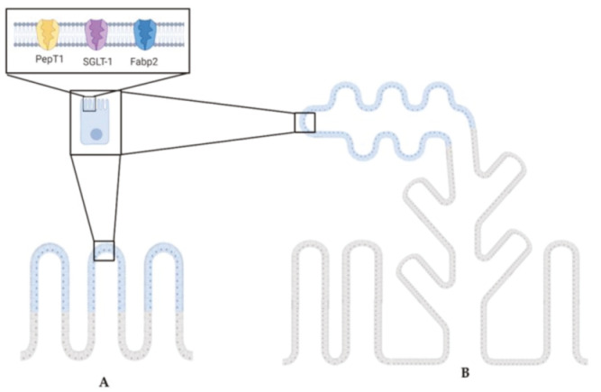 Figure 7