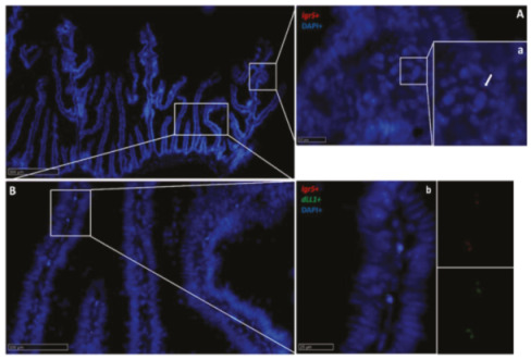 Figure 16