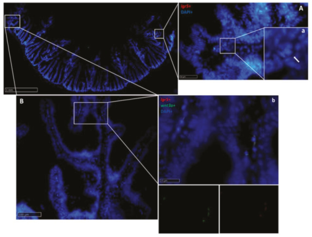 Figure 18