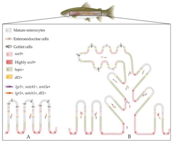 Figure 19