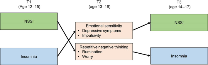 FIGURE 1