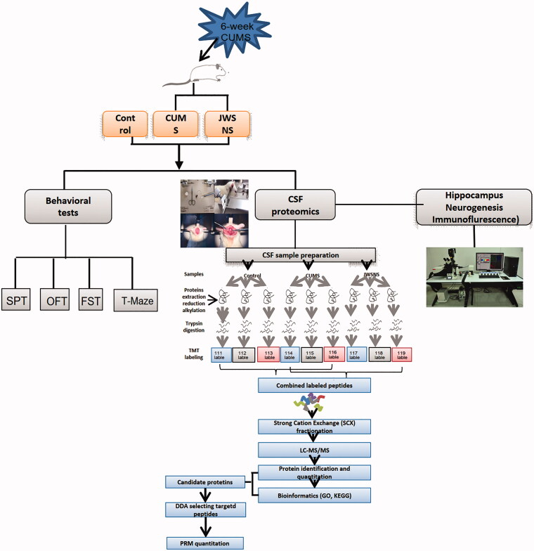 Figure 2.