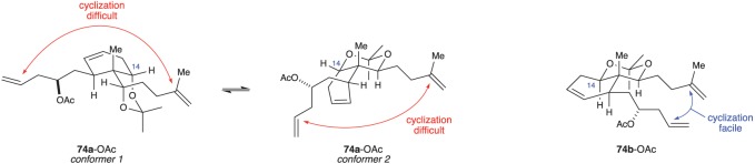 Figure 14.