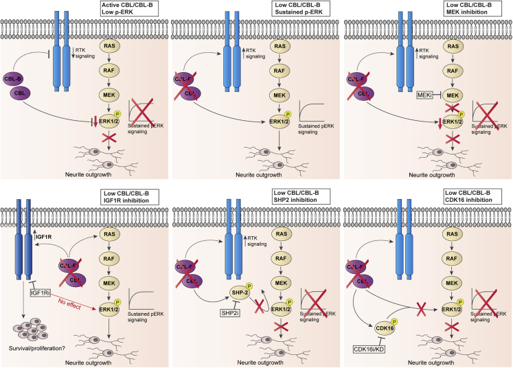 Figure 6