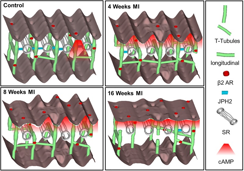 Figure 1.