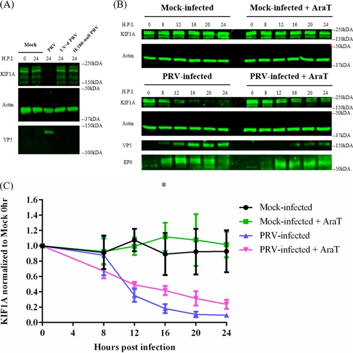 FIG 6