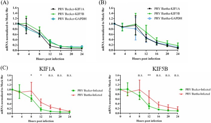 FIG 3