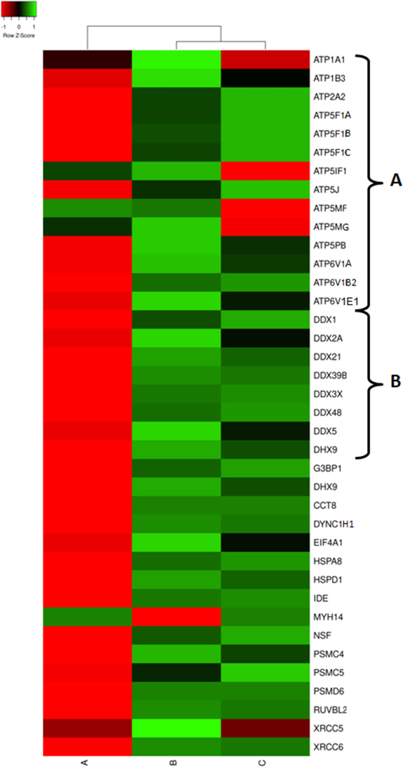 Fig 6