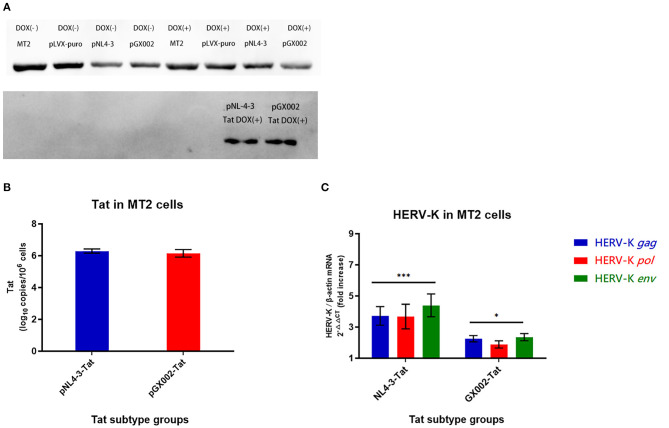 Figure 5