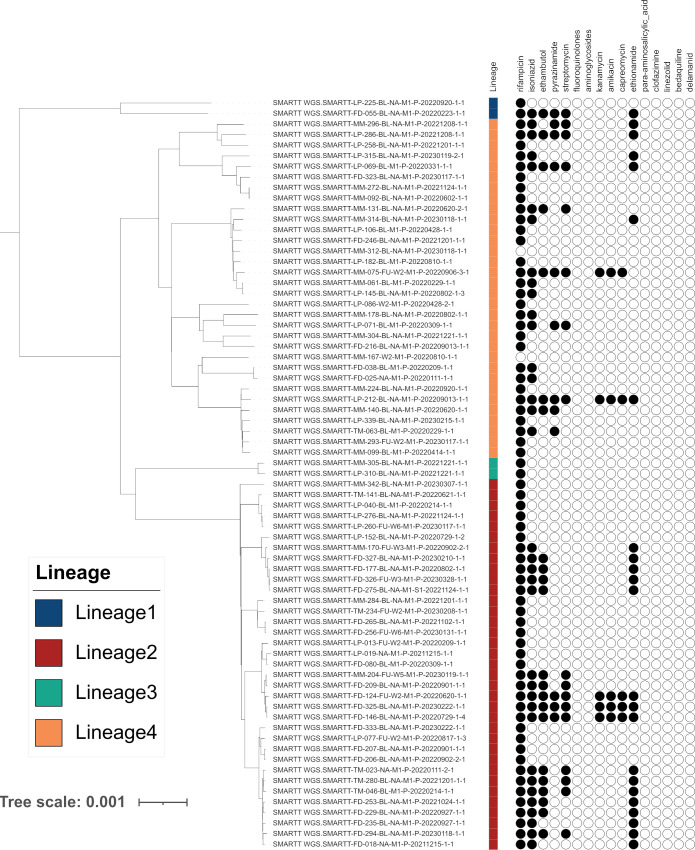 Fig 3