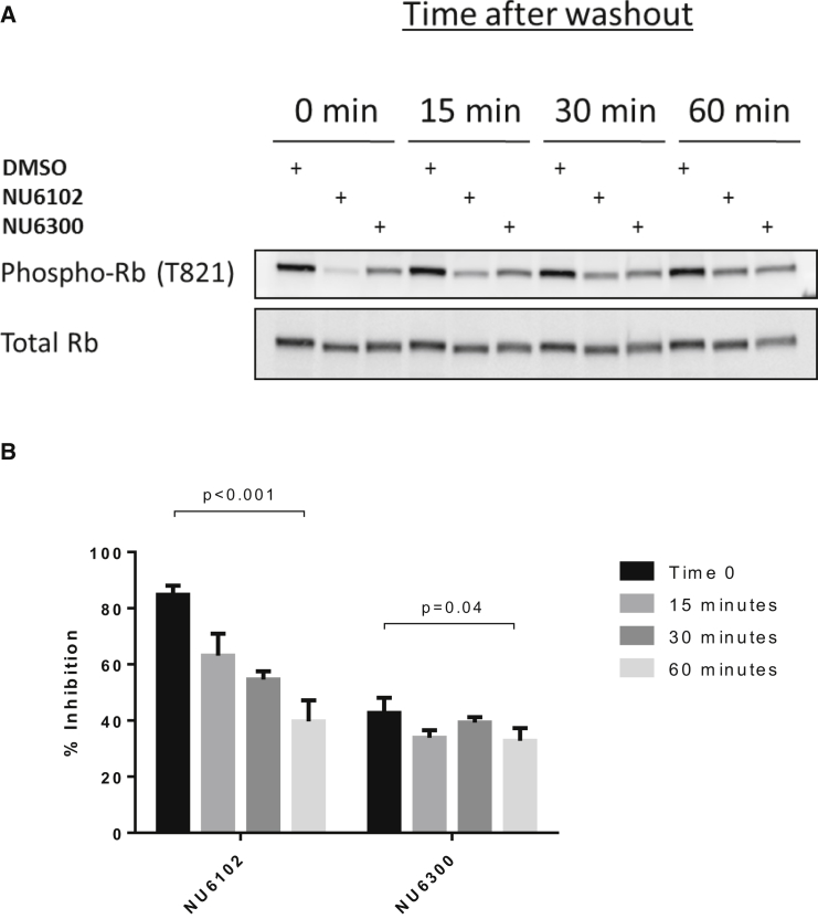 Figure 4