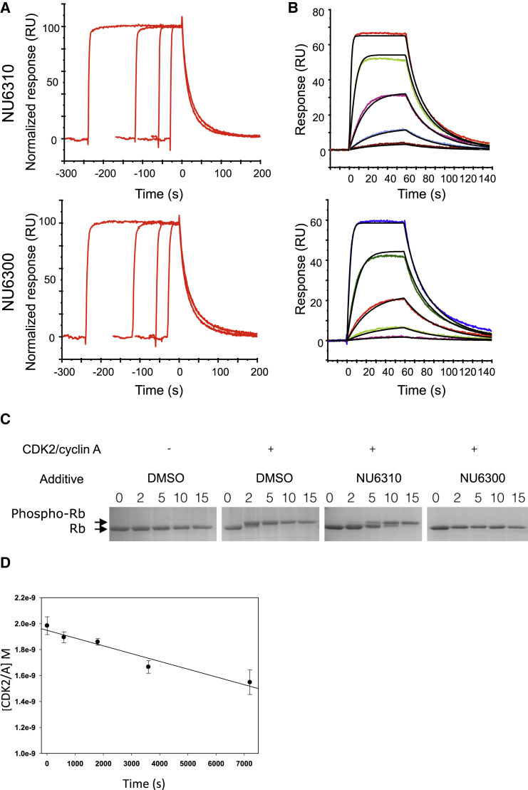 Figure 2