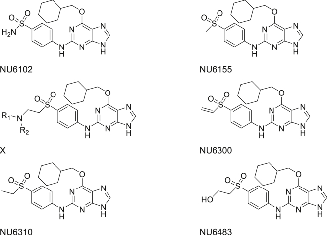 Figure 1