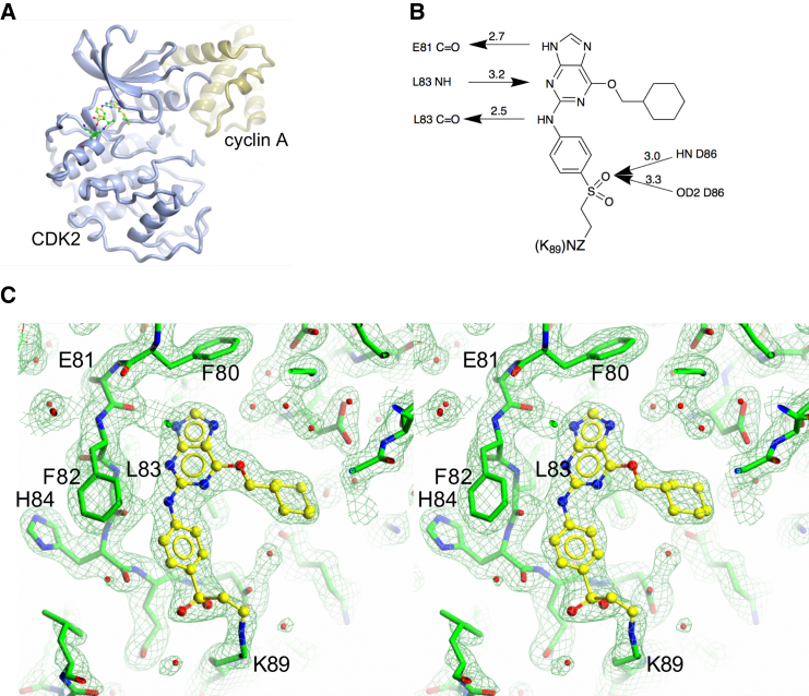 Figure 3