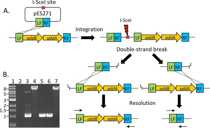 FIG 1