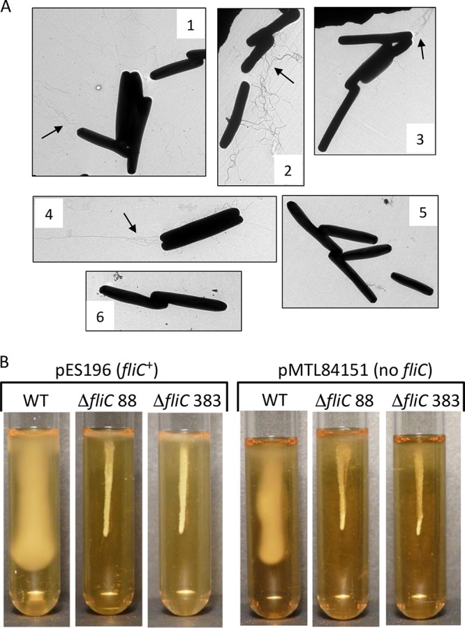 FIG 4