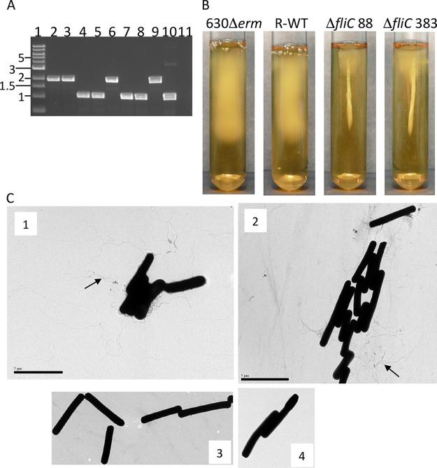 FIG 3