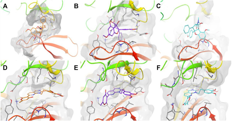 FIGURE 9