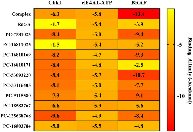 FIGURE 13