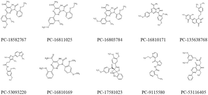 FIGURE 10