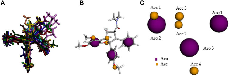 FIGURE 6