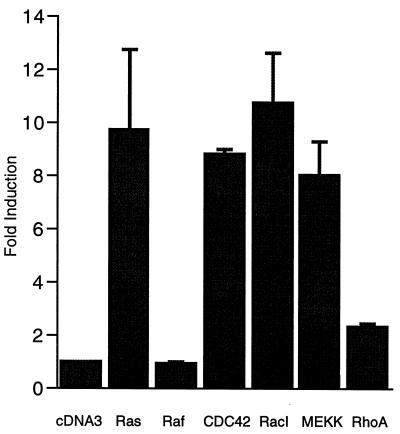 FIG. 5