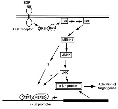 FIG. 8