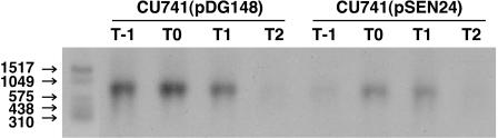 FIG. 4.