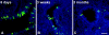 FIG. 4.