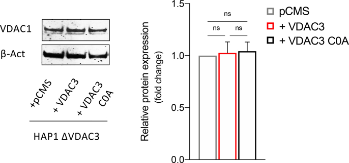 Fig. S3