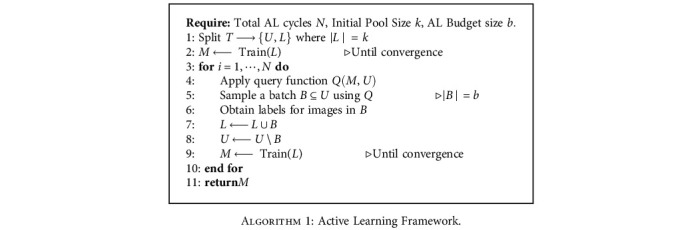 Algorithm 1